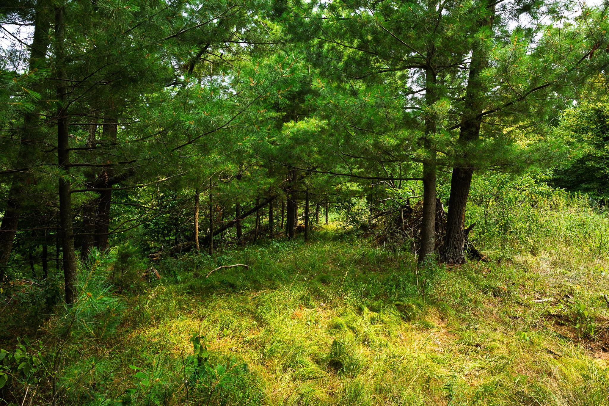 TBD County Road 23, Brainerd MN 56401 - Photo 65 of 74