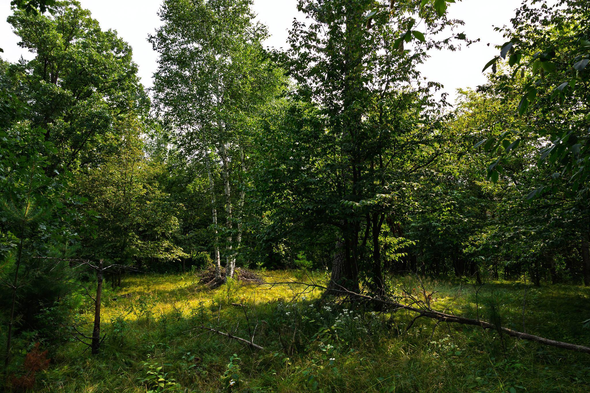 TBD County Road 23, Brainerd MN 56401 - Photo 66 of 74