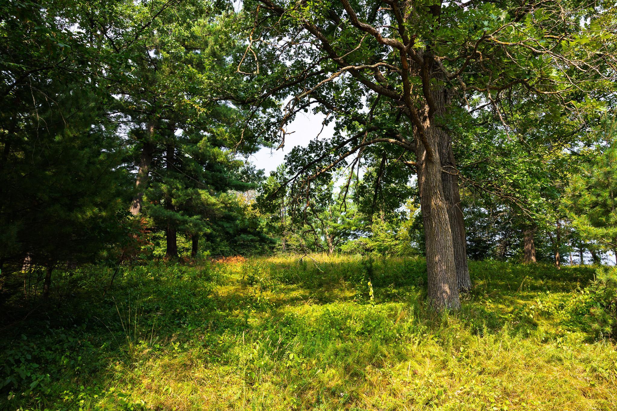TBD County Road 23, Brainerd MN 56401 - Photo 67 of 74
