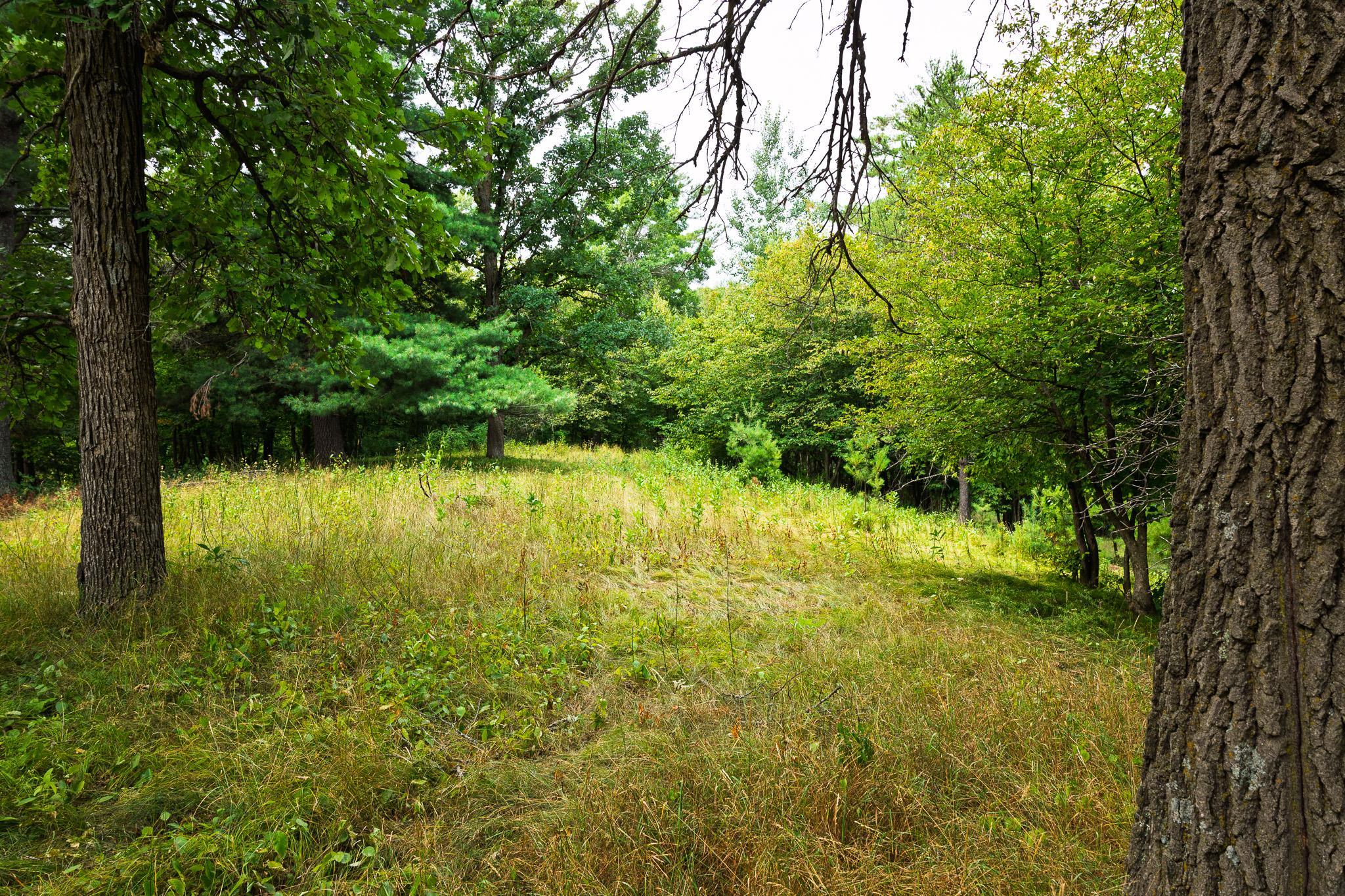TBD County Road 23, Brainerd MN 56401 - Photo 68 of 74