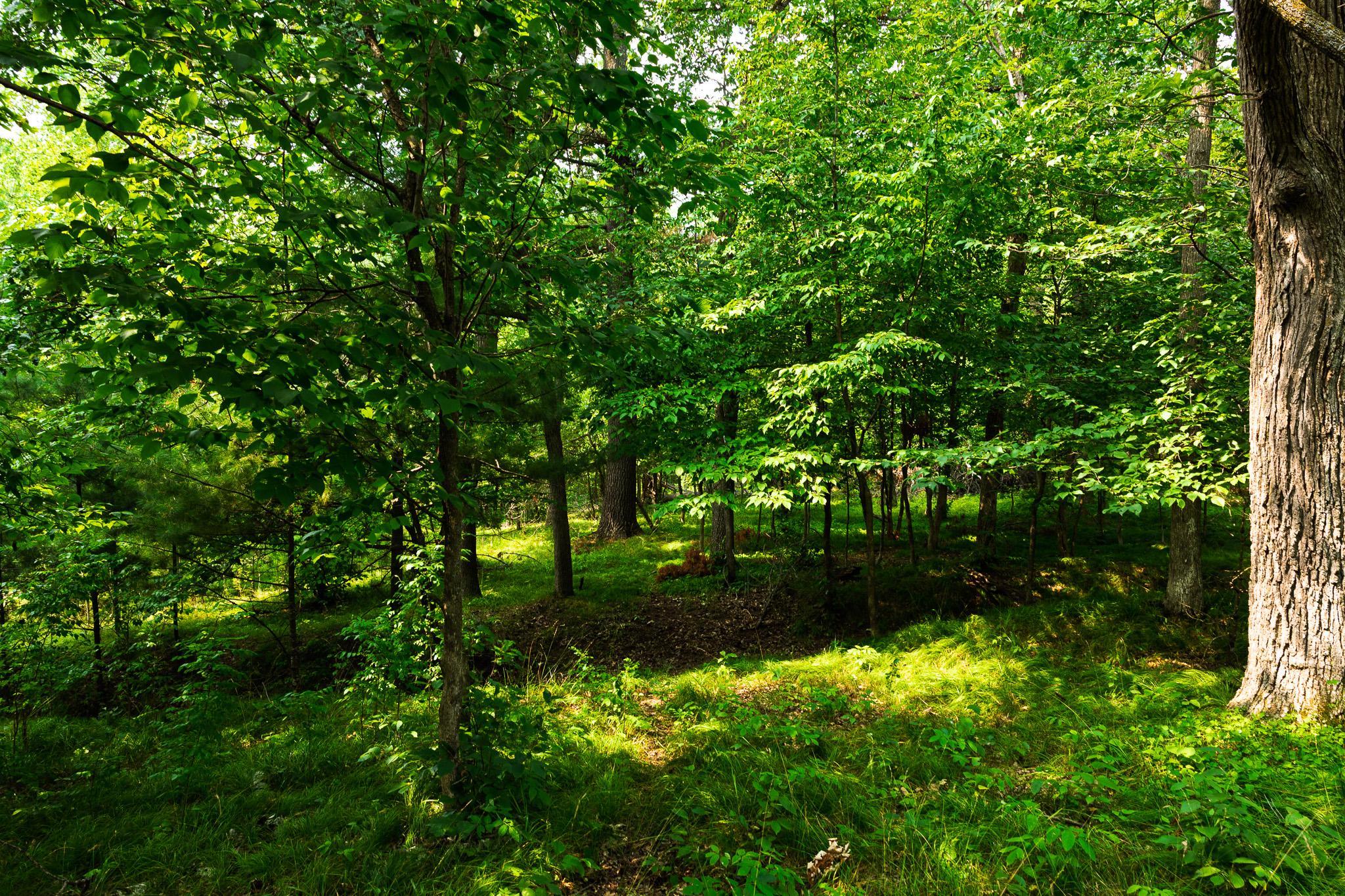TBD County Road 23, Brainerd MN 56401 - Photo 69 of 74