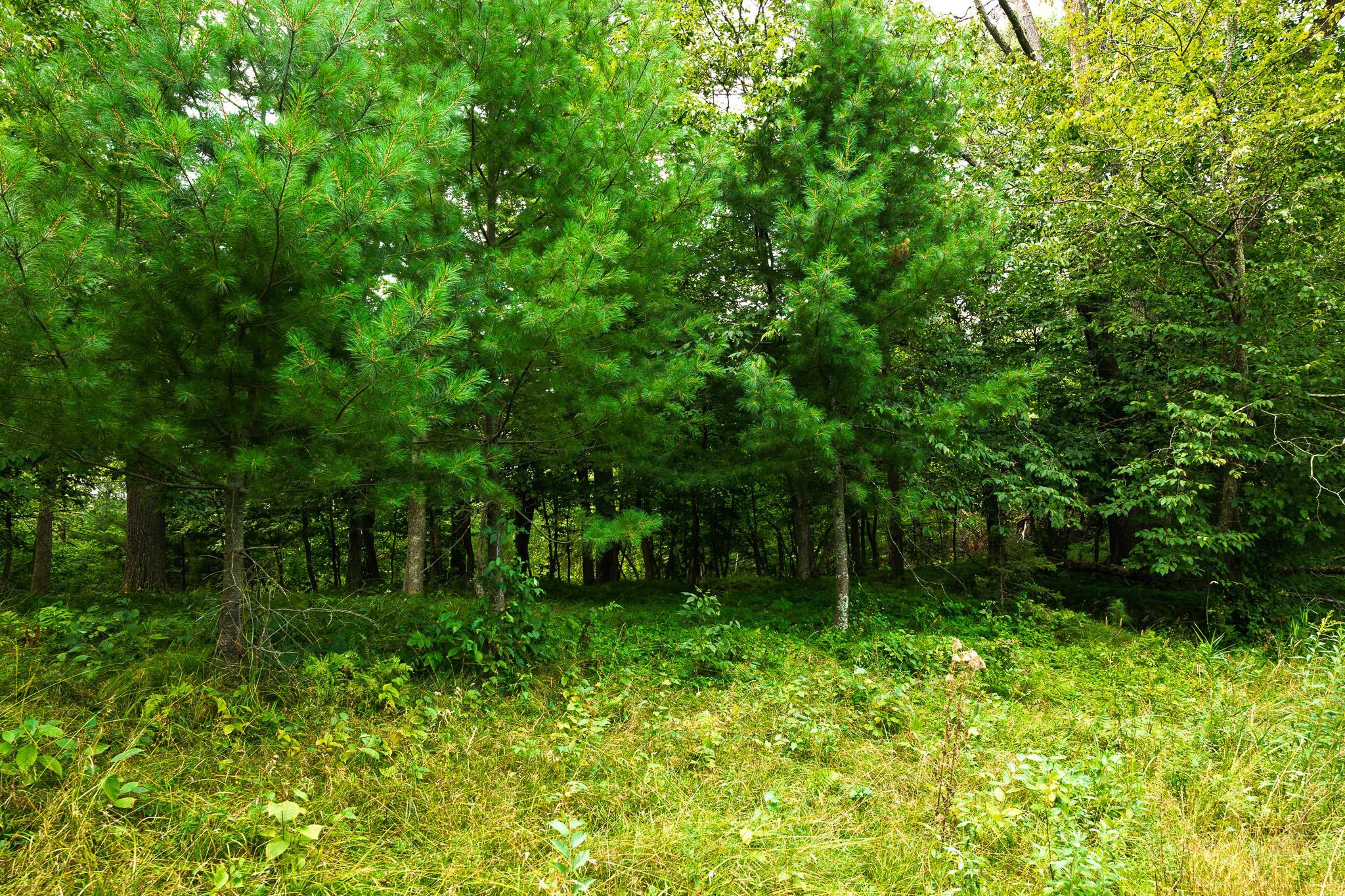 TBD County Road 23, Brainerd MN 56401 - Photo 72 of 74