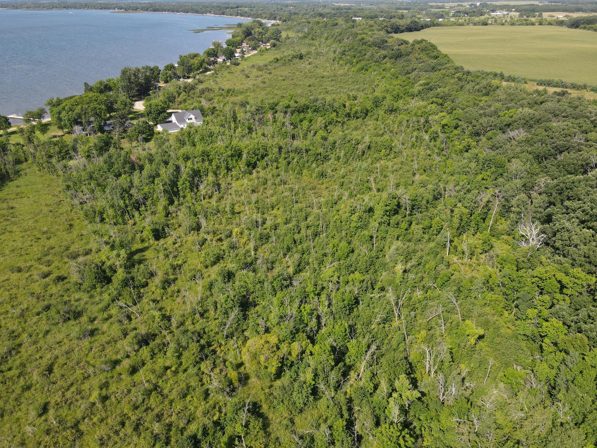 land for sale at TBD 460th Ave in Perham, MN (photo 4 of 12)