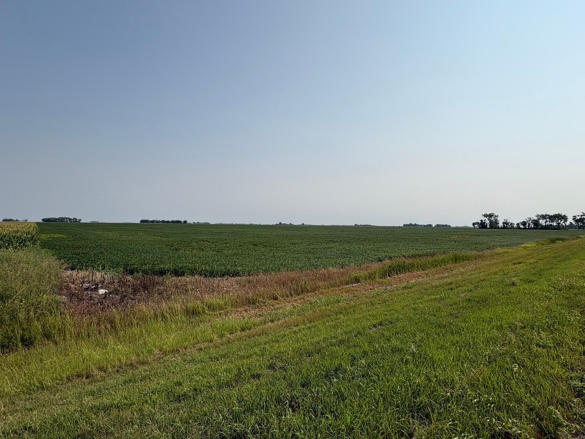 farm for sale at 1 County Rd. 3 in Shelly, MN (photo 2 of 9)
