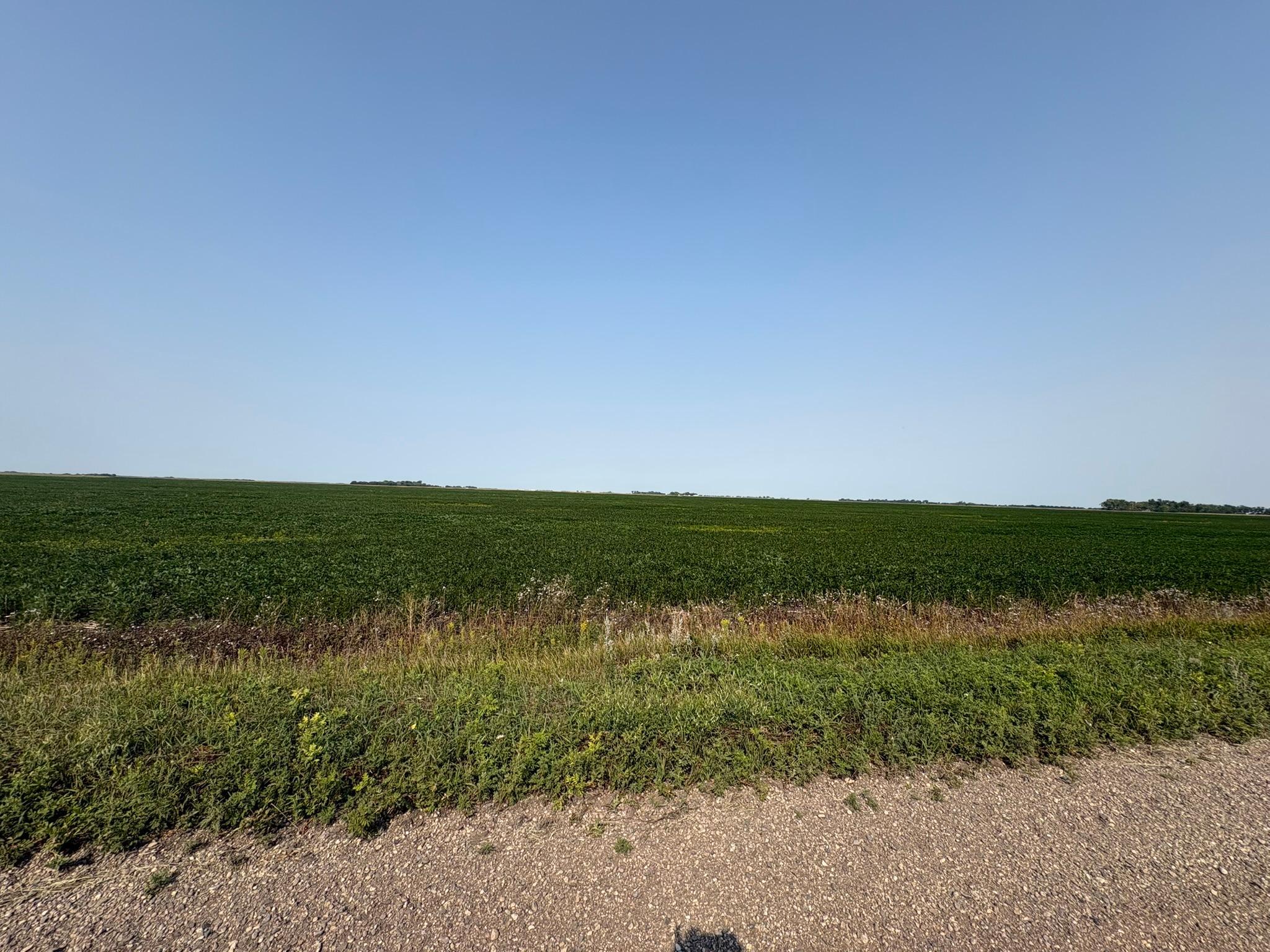 farm for sale at 1 County Rd. 3 in Shelly, MN (photo 3 of 9)