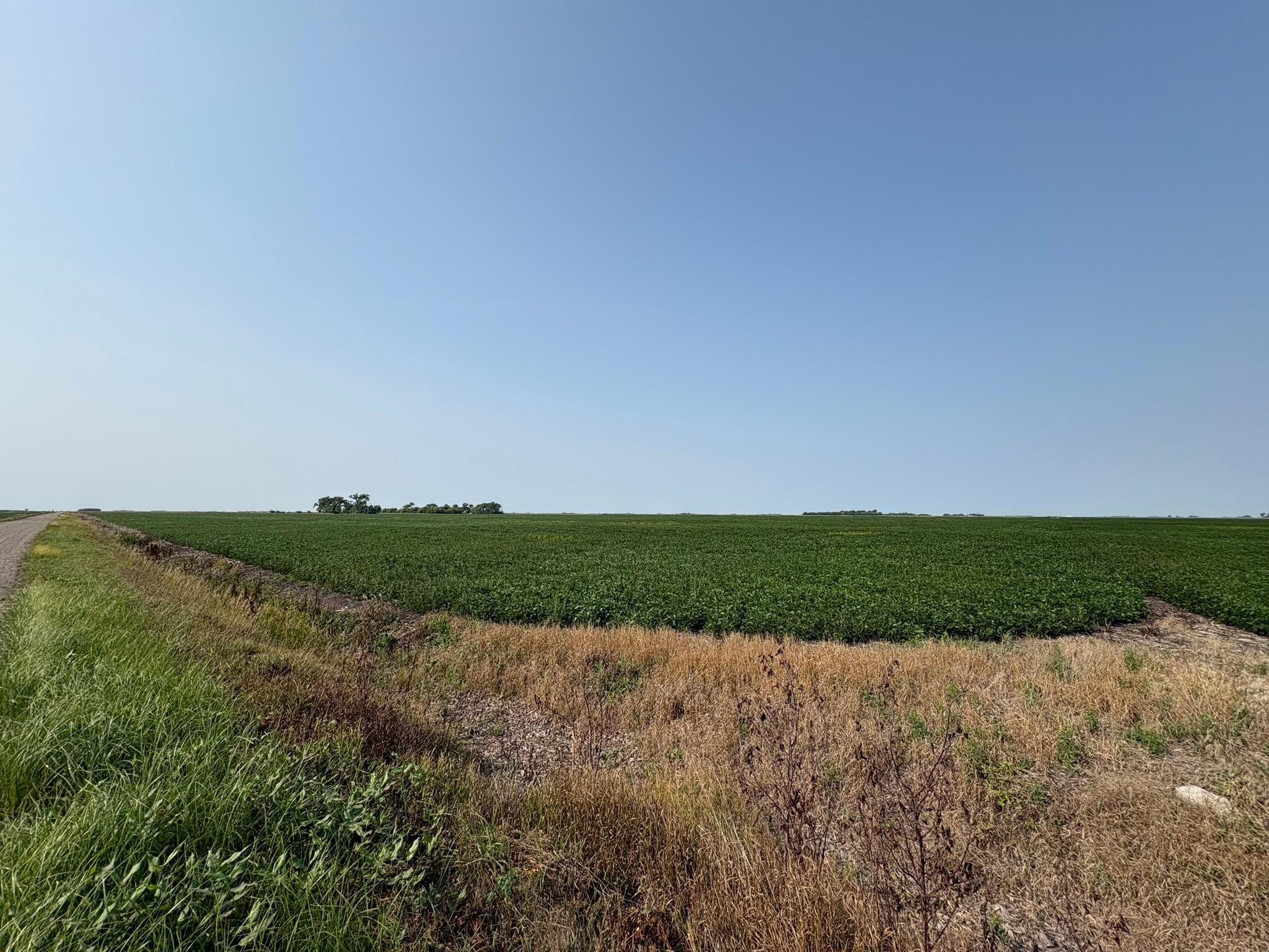 farm for sale at 1 County Rd. 3 in Shelly, MN (photo 4 of 9)