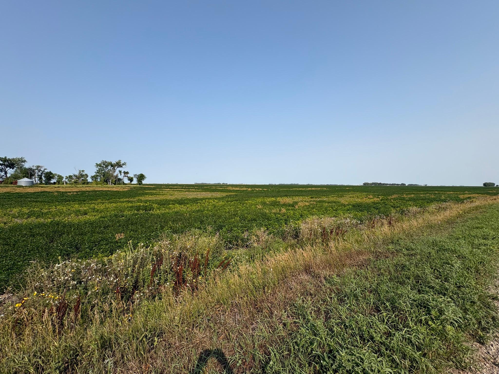 farm for sale at 1 County Rd. 3 in Shelly, MN (photo 5 of 9)
