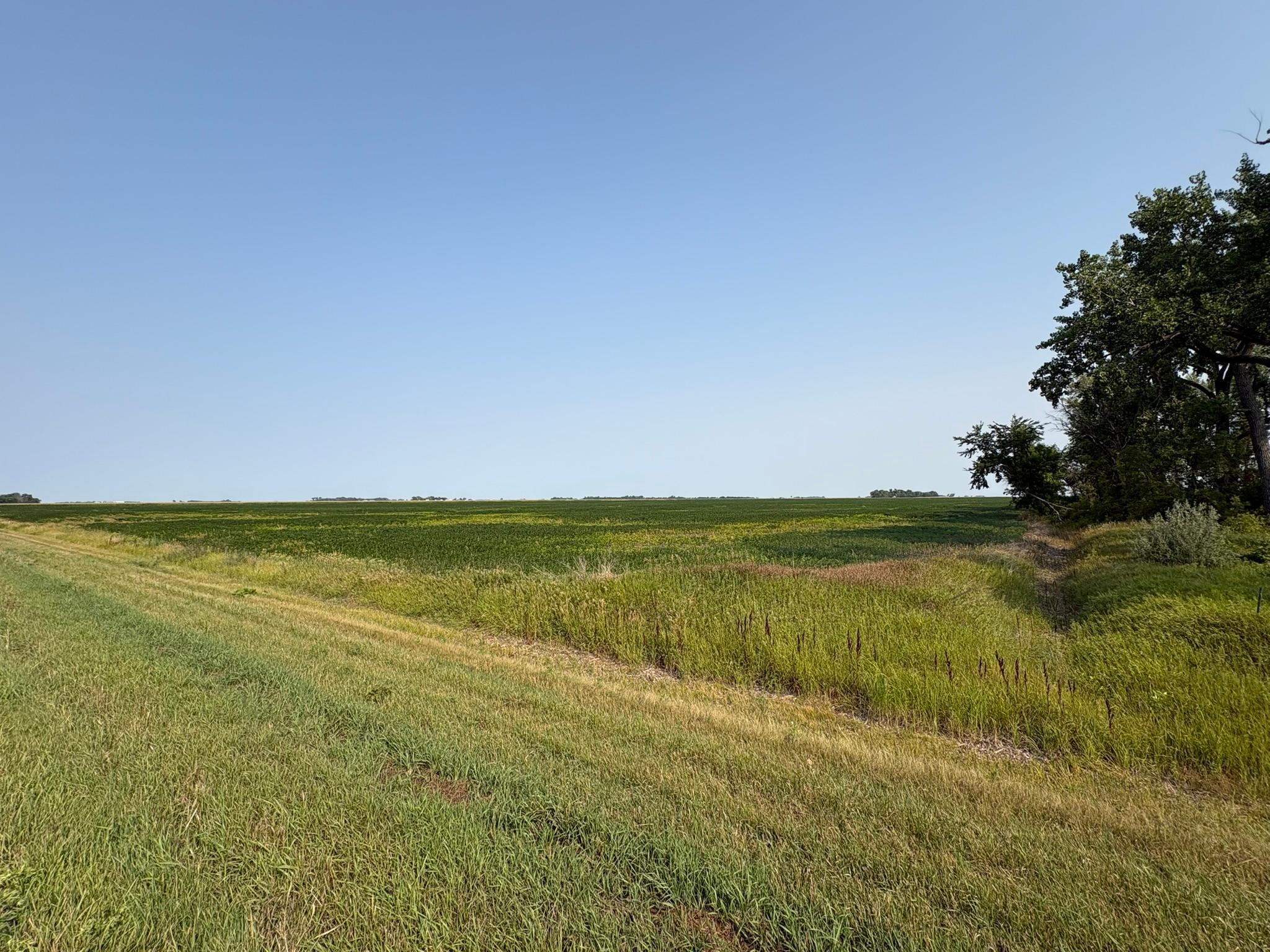 farm for sale at 1 County Rd. 3 in Shelly, MN (photo 6 of 9)