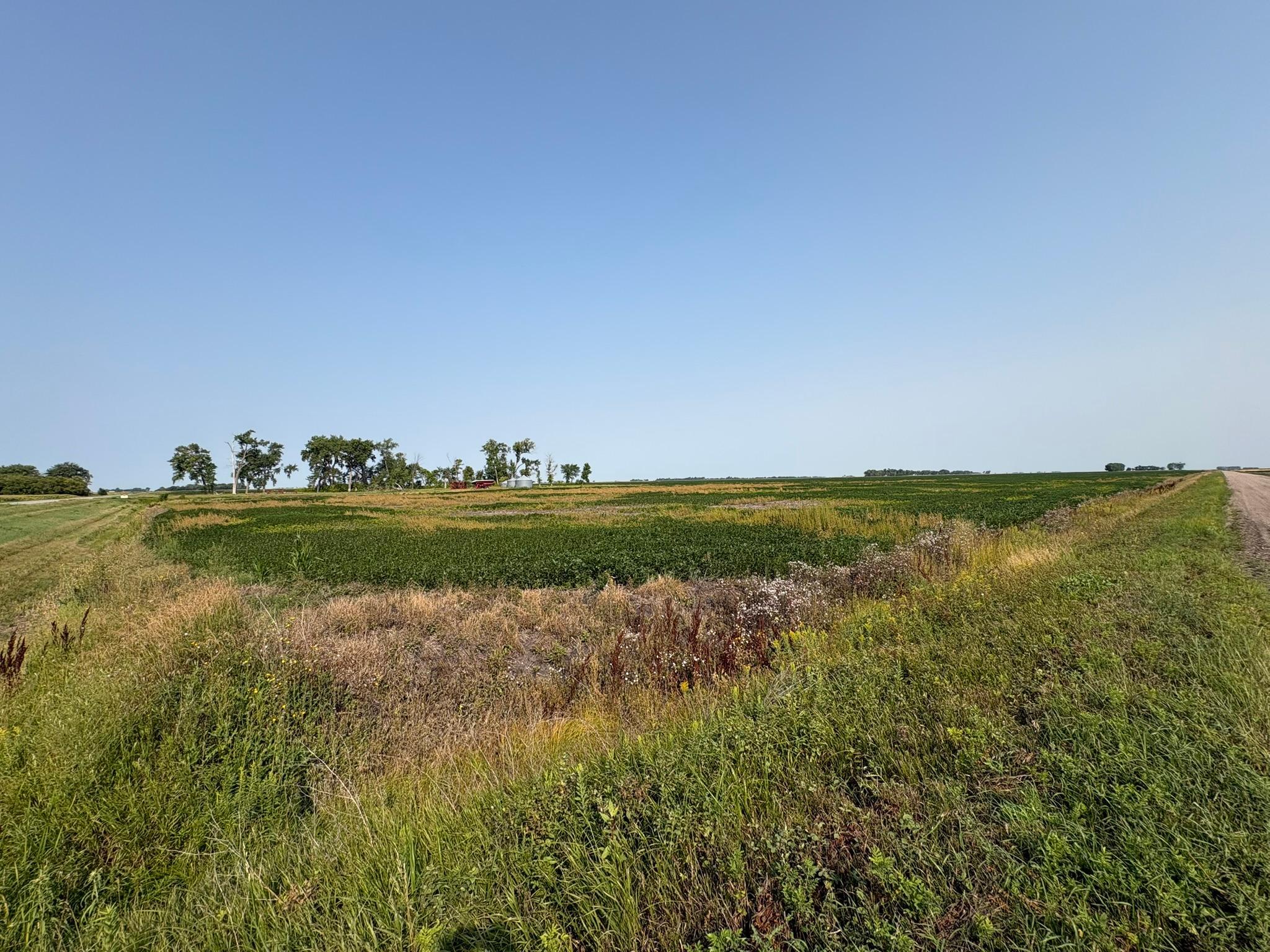 farm for sale at 1 County Rd. 3 in Shelly, MN (photo 7 of 9)