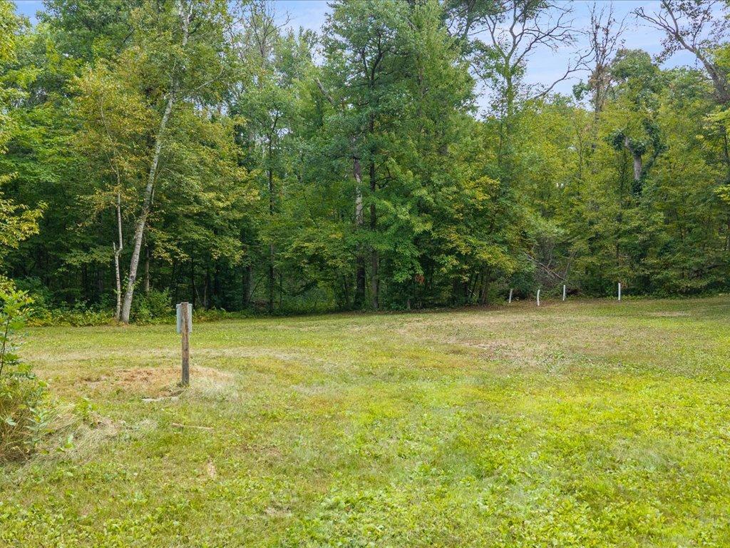 1997 land for sale at 8 Acres Mississippi River Front TBD Bedow Road in Fort Ripley, MN (photo 12 of 25)