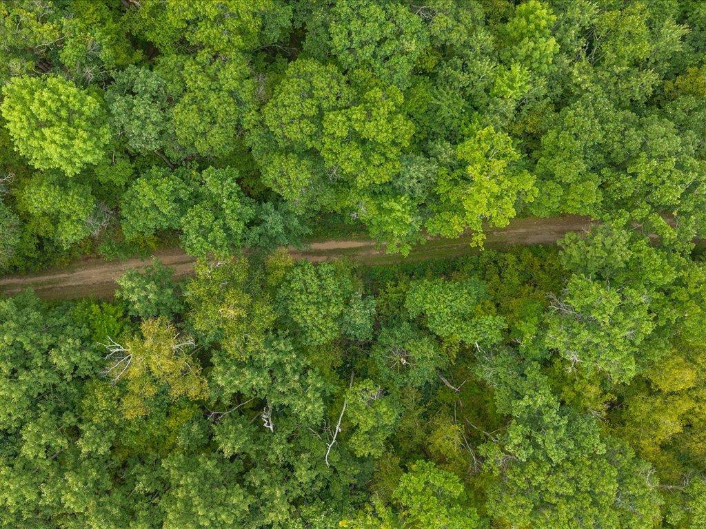 1997 land for sale at 8 Acres Mississippi River Front TBD Bedow Road in Fort Ripley, MN (photo 20 of 25)