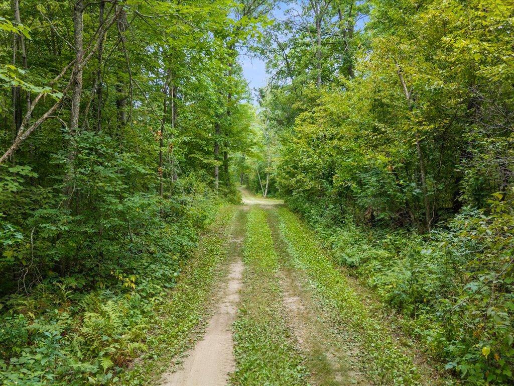 1997 land for sale at 8 Acres Mississippi River Front TBD Bedow Road in Fort Ripley, MN (photo 21 of 25)