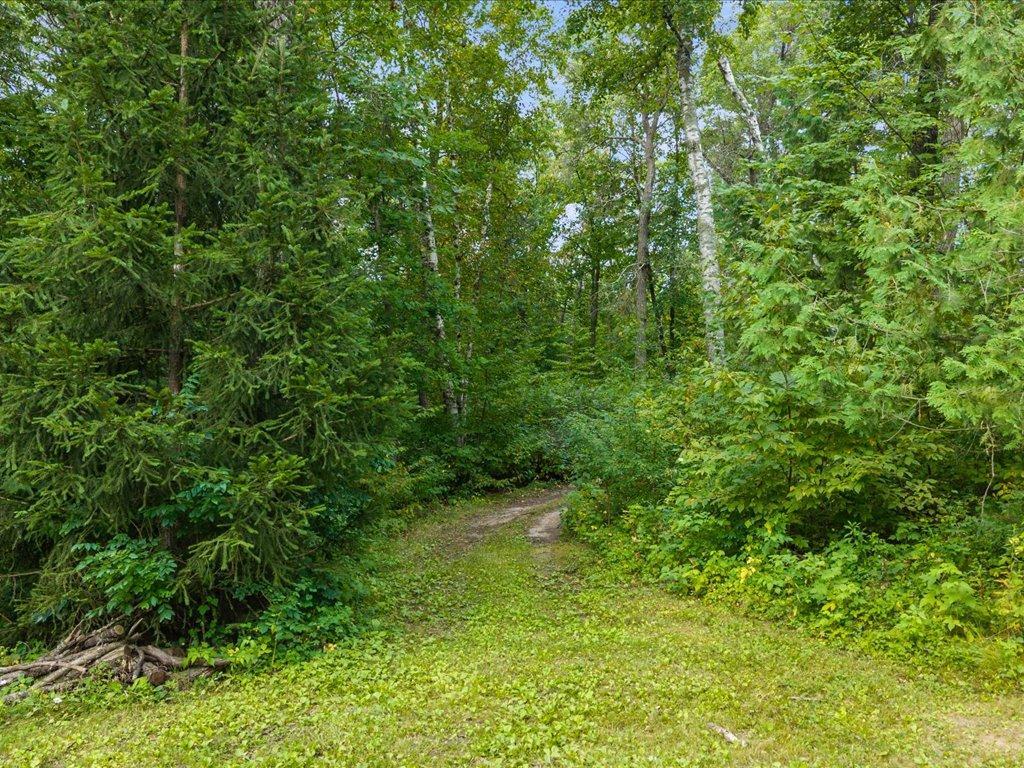 1997 land for sale at 8 Acres Mississippi River Front TBD Bedow Road in Fort Ripley, MN (photo 22 of 25)