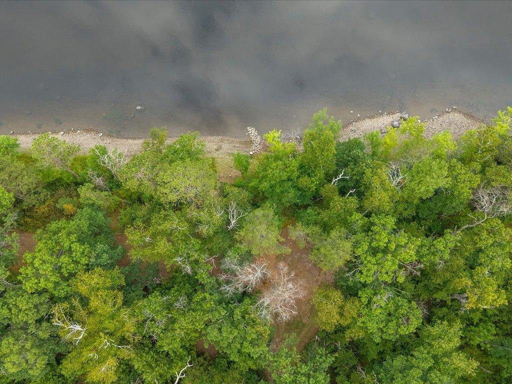1997 land for sale at 8 Acres Mississippi River Front TBD Bedow Road in Fort Ripley, MN (photo 6 of 25)