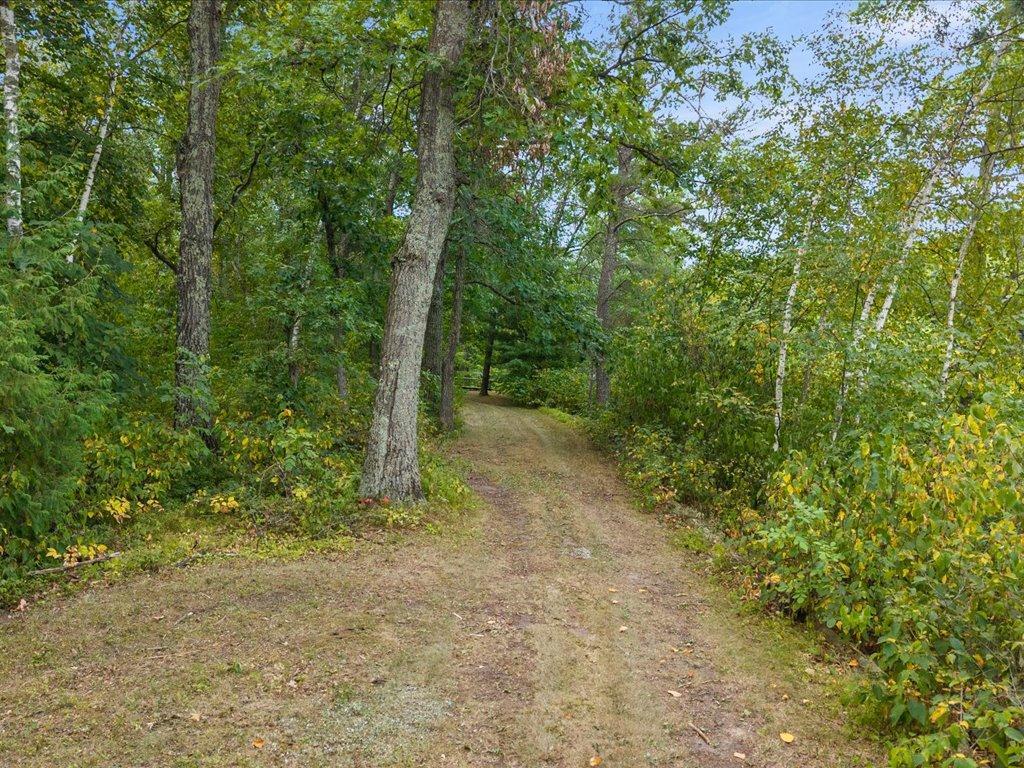 1997 land for sale at 8 Acres Mississippi River Front TBD Bedow Road in Fort Ripley, MN (photo 9 of 25)