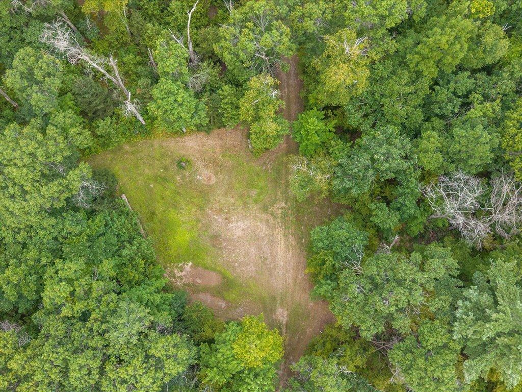 1997 land for sale at 8 Acres Mississippi River Front TBD Bedow Road in Fort Ripley, MN (photo 10 of 25)