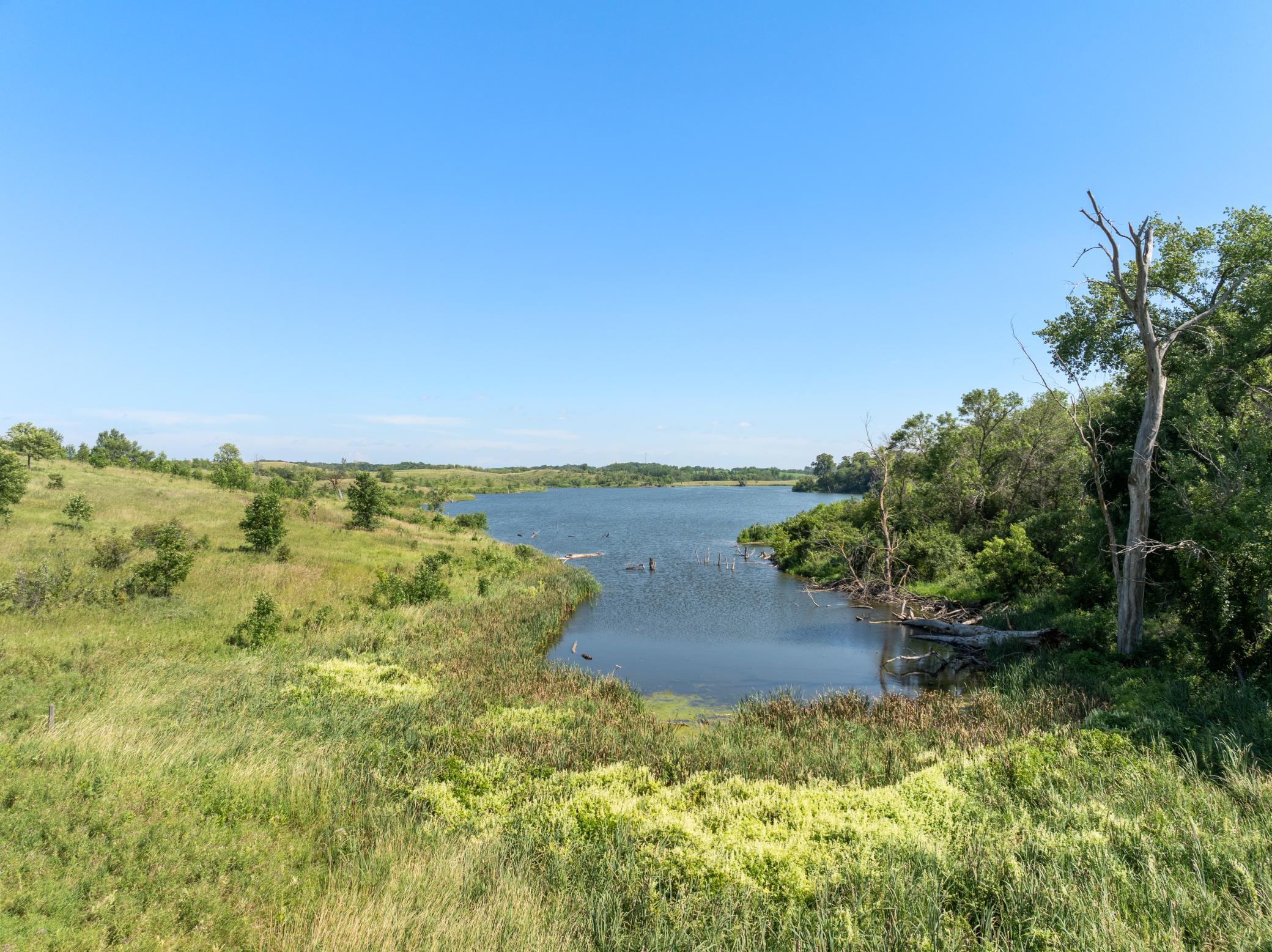 land for sale at 26085 154 Avenue S in Barnesville, MN (photo 9 of 17)