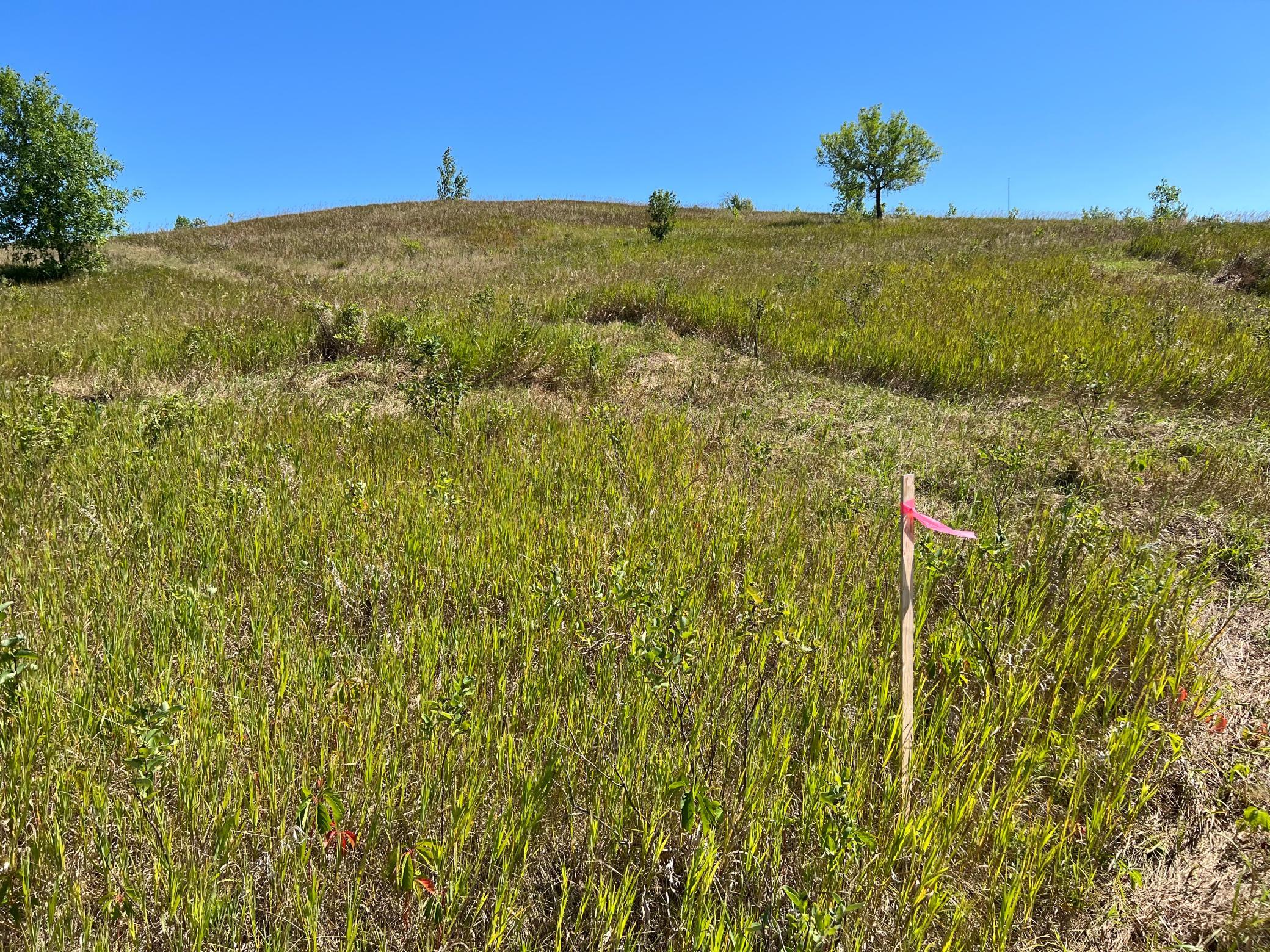 land for sale at 26029 154 Avenue S in Barnesville, MN (photo 11 of 28)