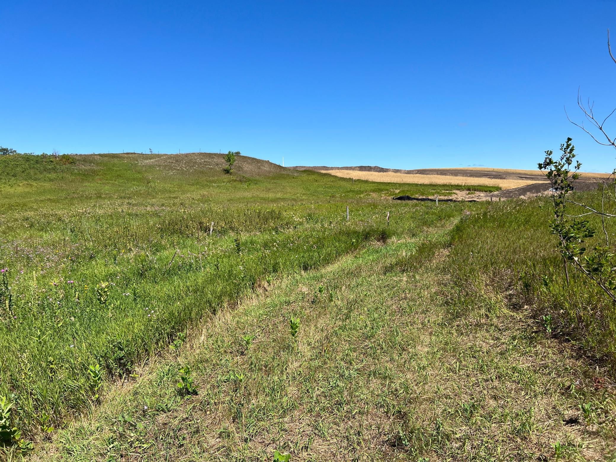 land for sale at 26029 154 Avenue S in Barnesville, MN (photo 12 of 28)