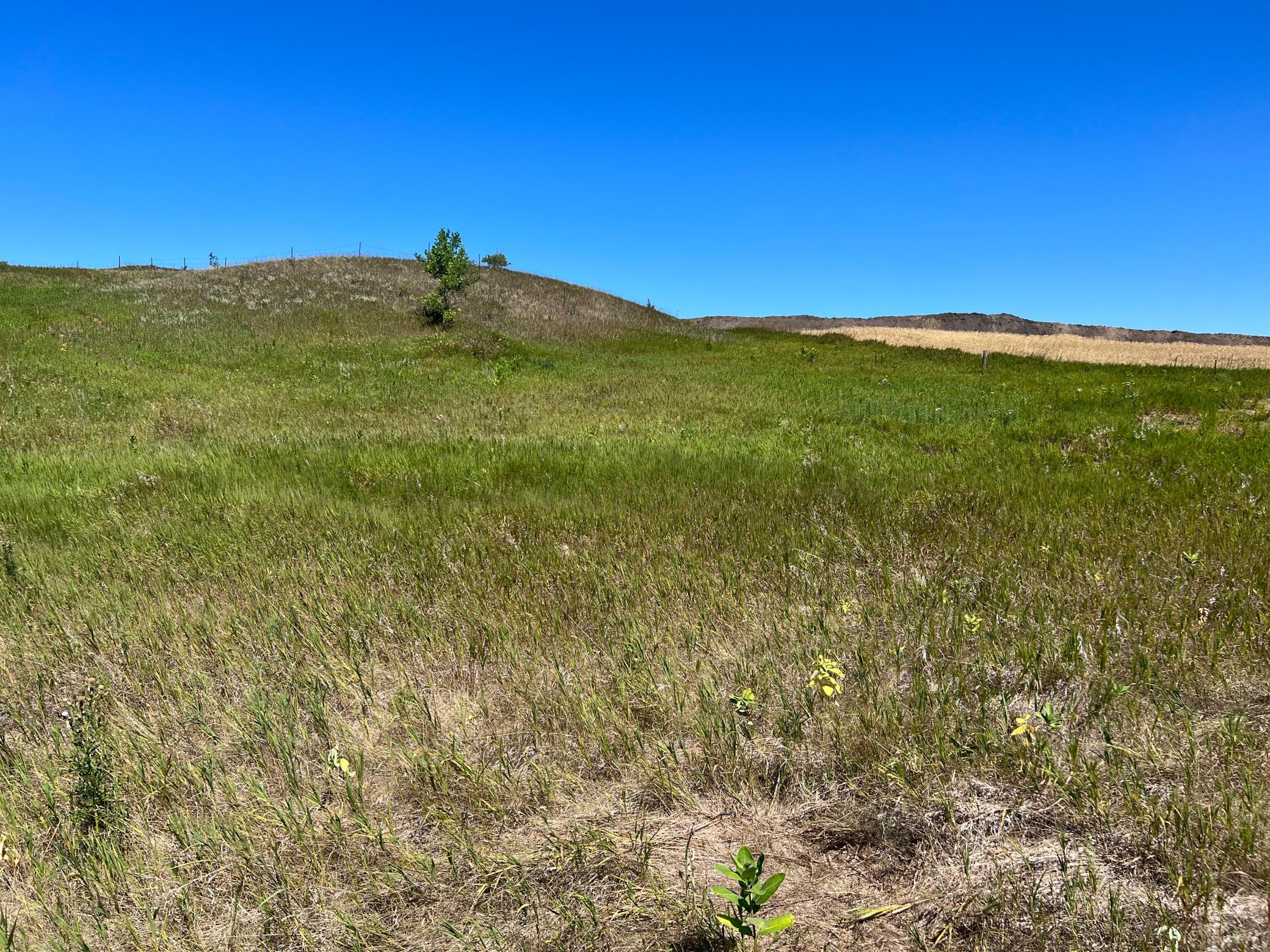 land for sale at 26029 154 Avenue S in Barnesville, MN (photo 14 of 28)