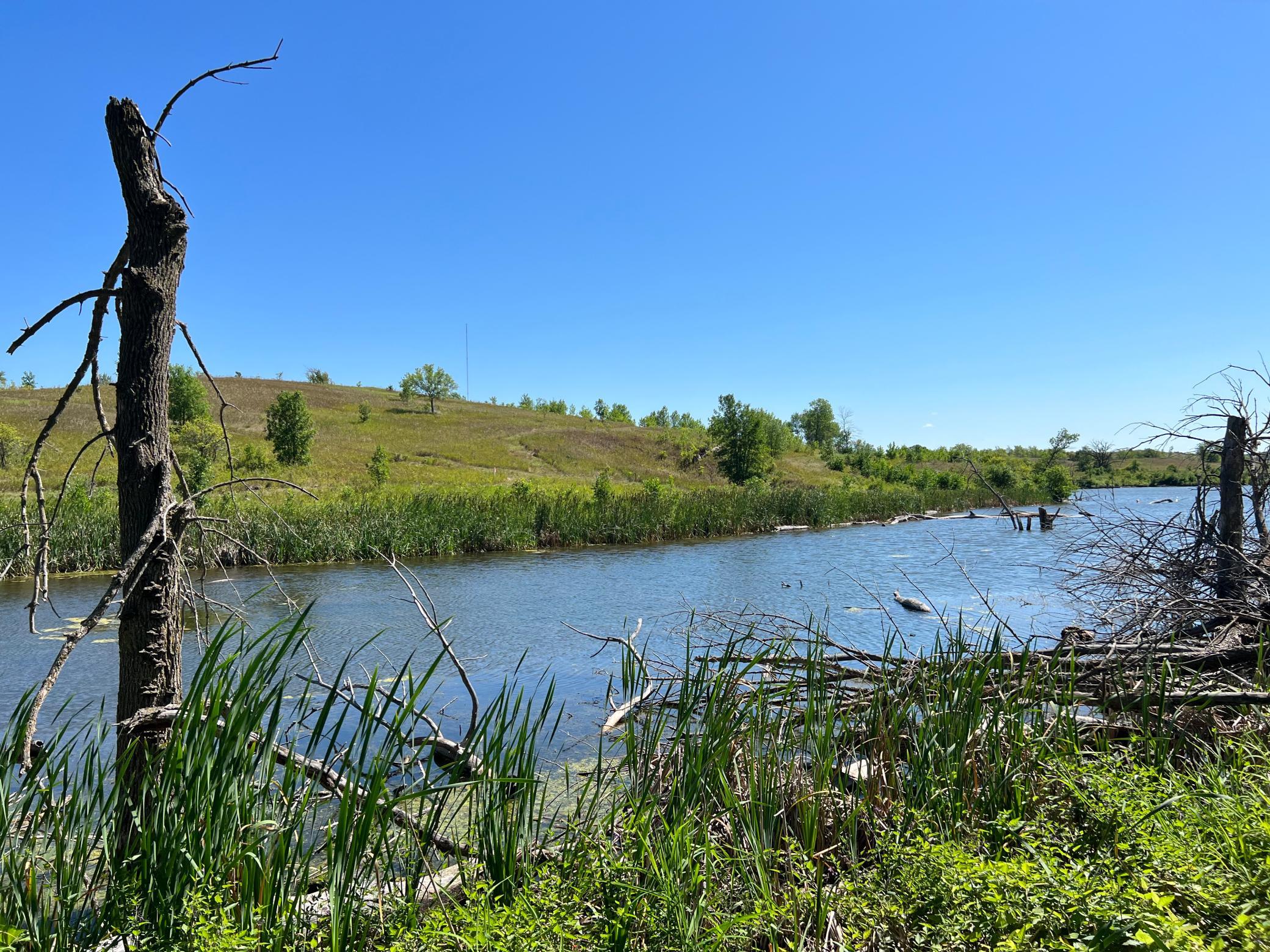 land for sale at 26029 154 Avenue S in Barnesville, MN (photo 15 of 28)