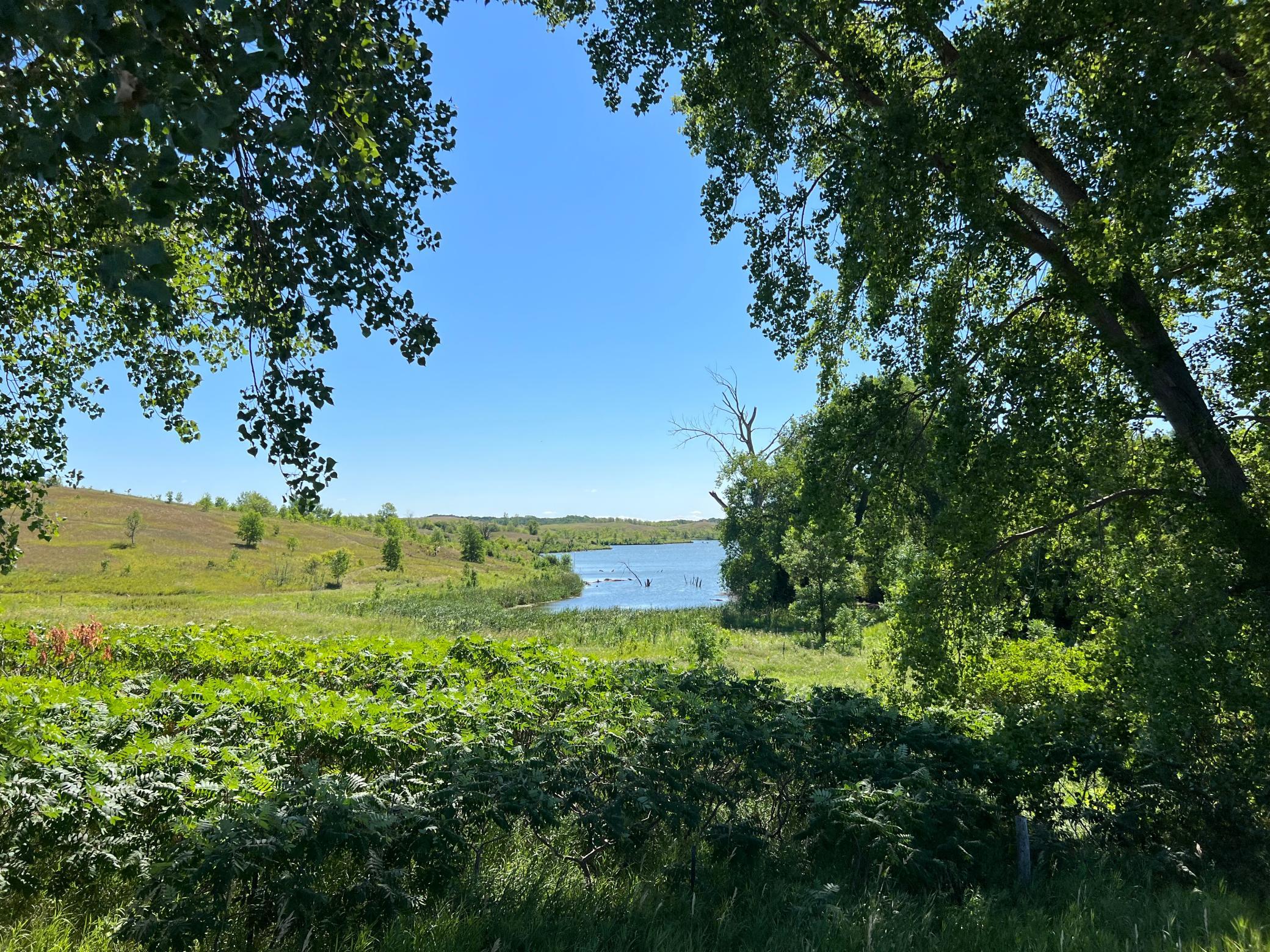 land for sale at 26029 154 Avenue S in Barnesville, MN (photo 18 of 28)