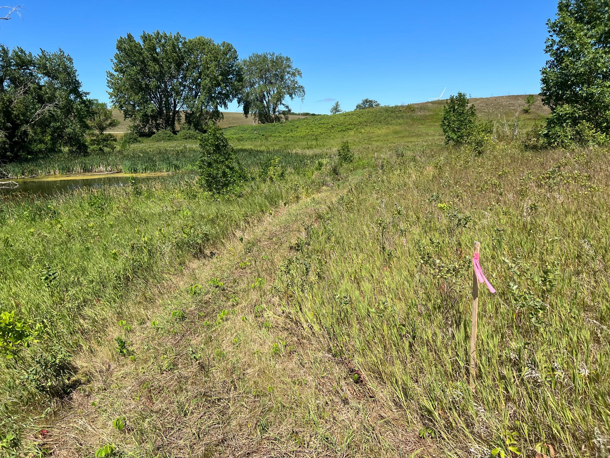land for sale at 26029 154 Avenue S in Barnesville, MN (photo 10 of 28)