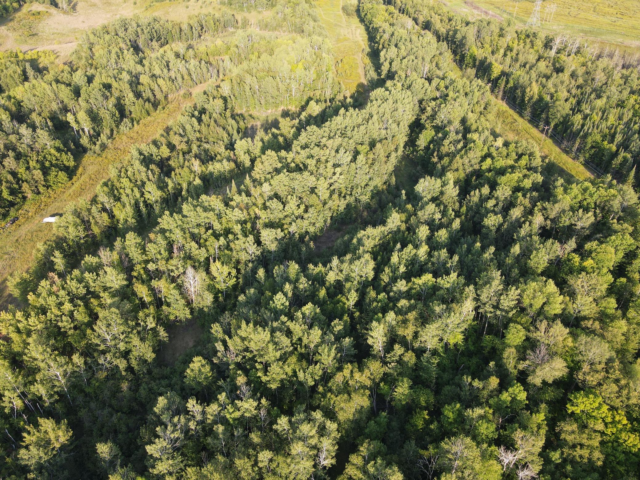 land for sale at TBD Pincherry Rd in Cohasset, MN (photo 10 of 15)
