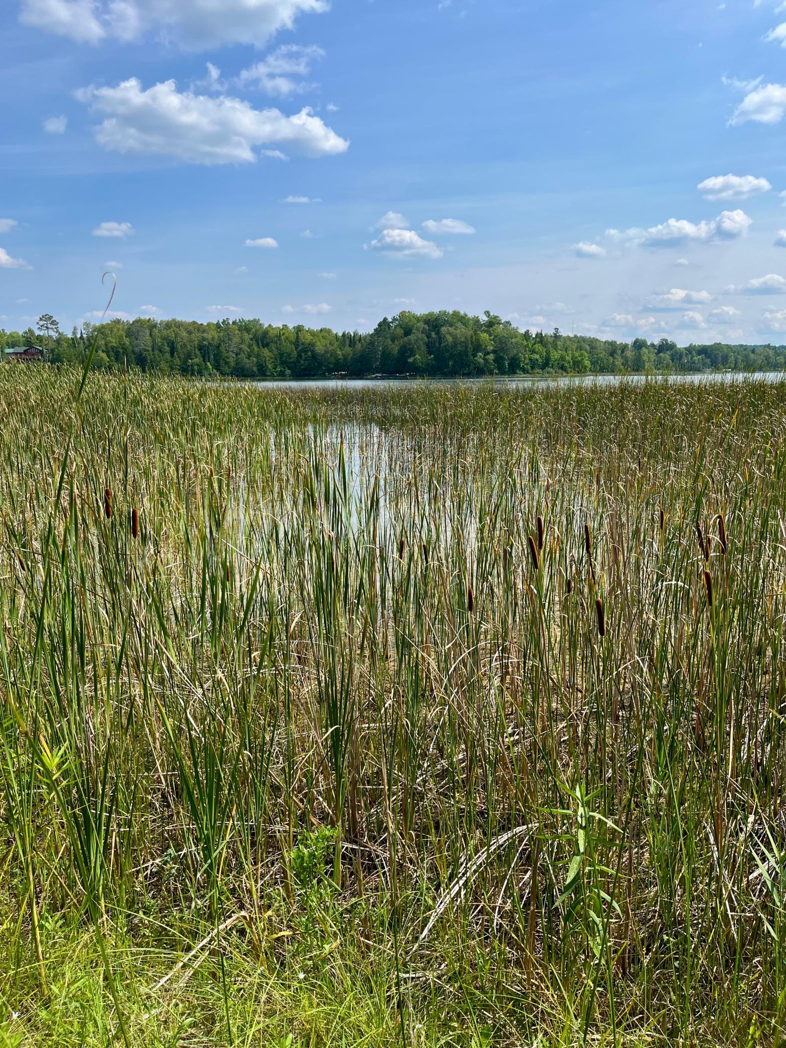 33546 N Reilly Lake Road N, Bovey MN 55709 - Photo 29 of 33