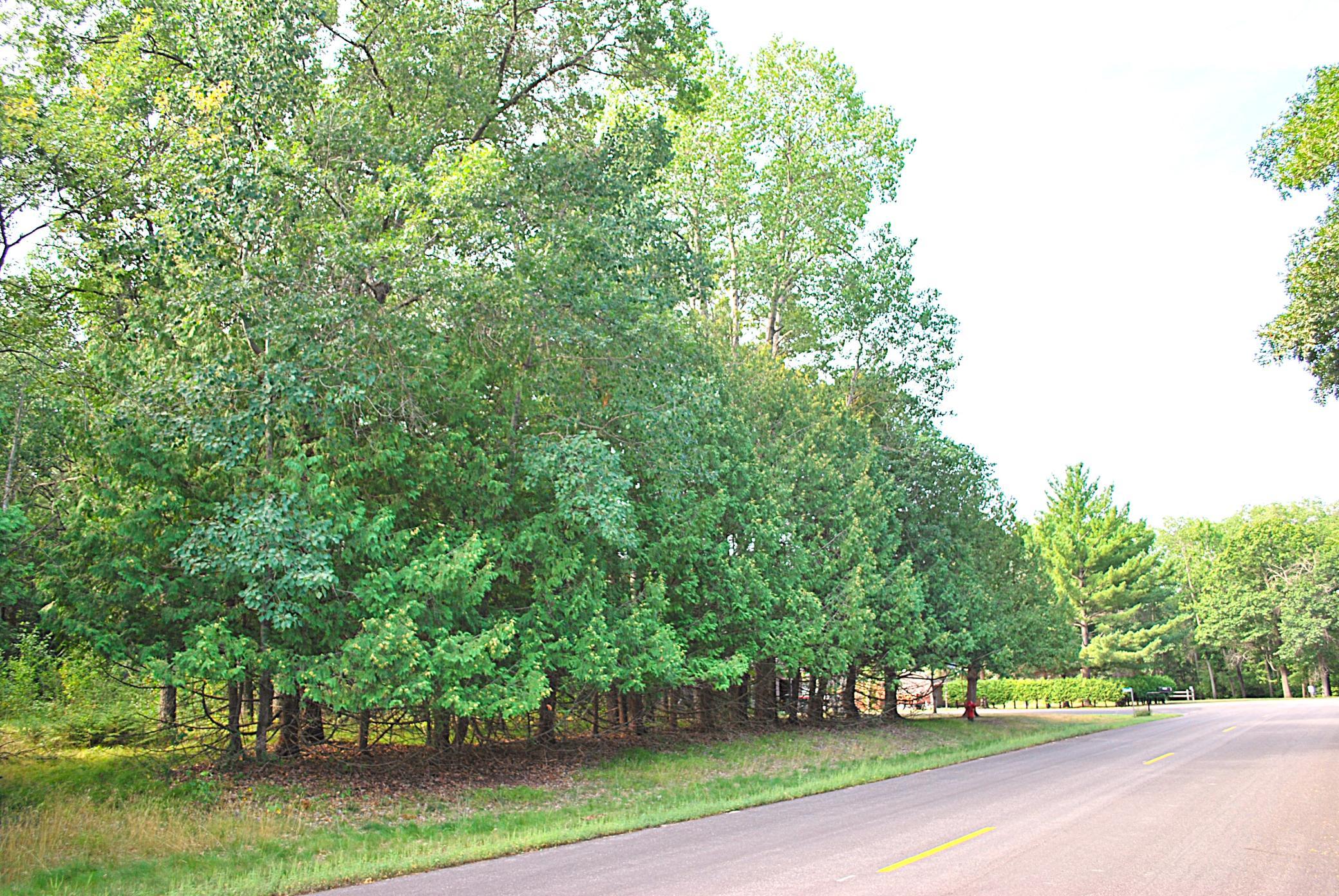 land for sale at TBD Marohn Road in Baxter, MN