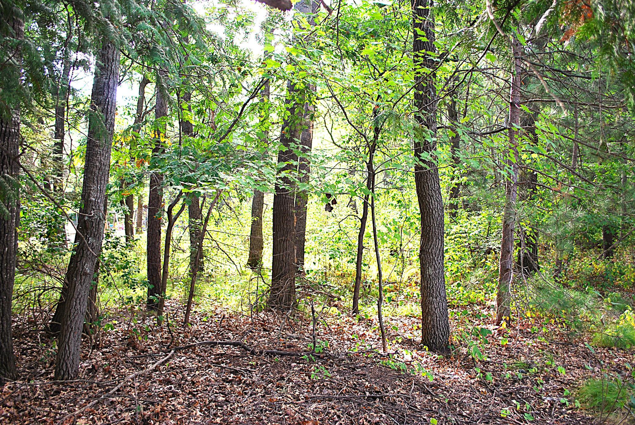 land for sale at TBD Marohn Road in Baxter, MN (photo 5 of 6)