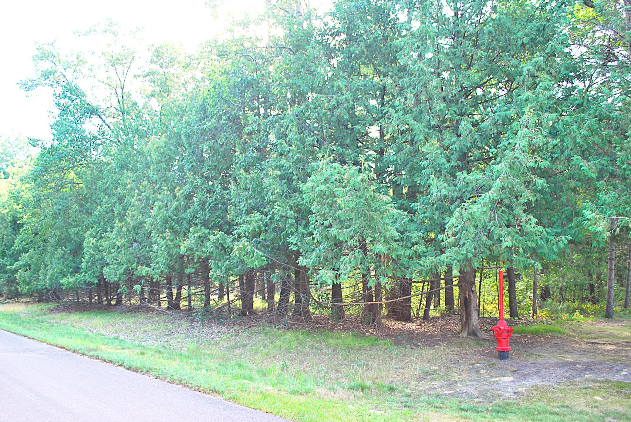 land for sale at TBD Marohn Road in Baxter, MN (photo 6 of 6)