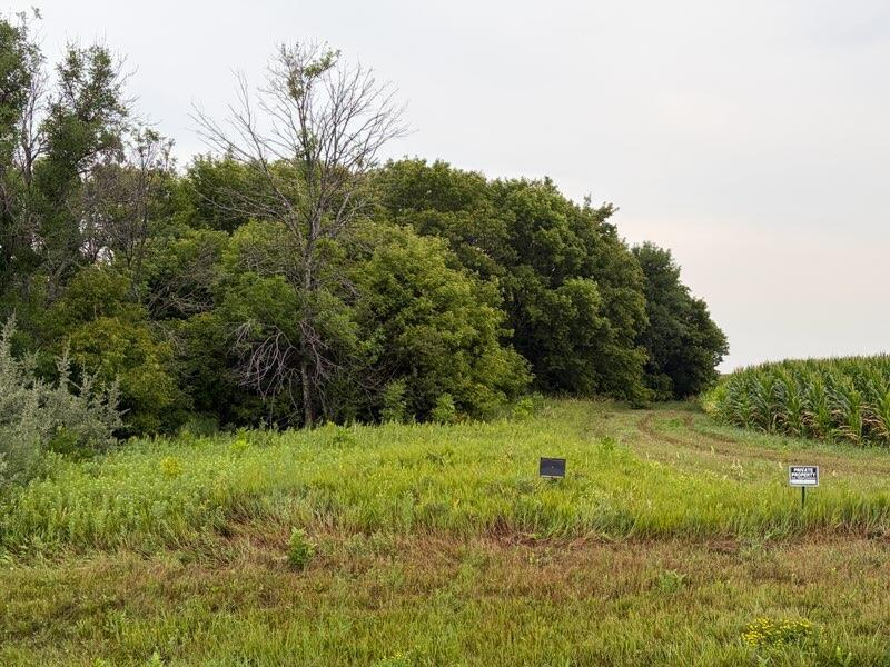land for sale at 11558 160th Avenue S in Barnesville, MN