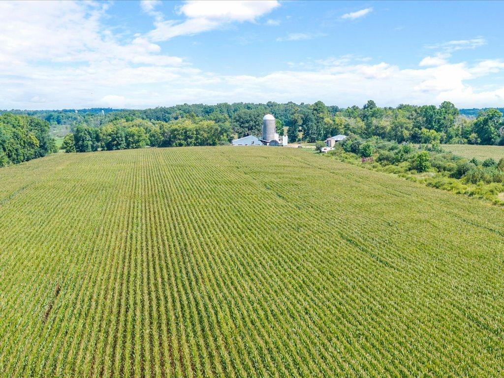 2017 single family home for sale at 13727 County Road 32 in Bertha, MN — 5 bed, 1 bath (photo 19 of 72)