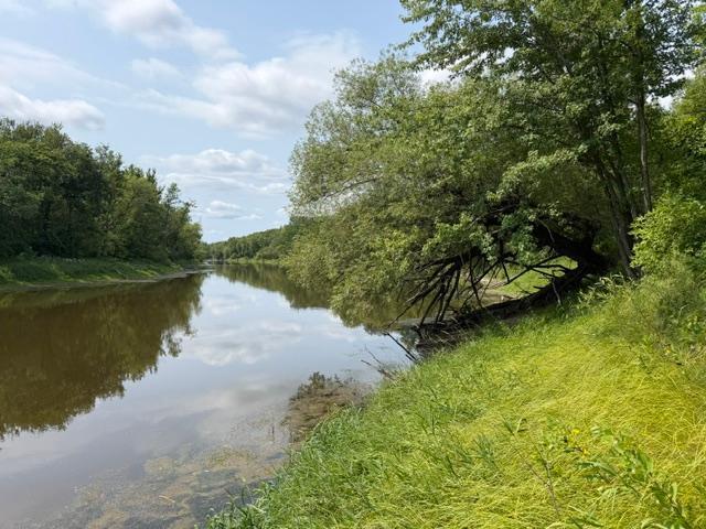 land for sale at TBD State Hwy 65 in McGregor, MN (photo 2 of 10)