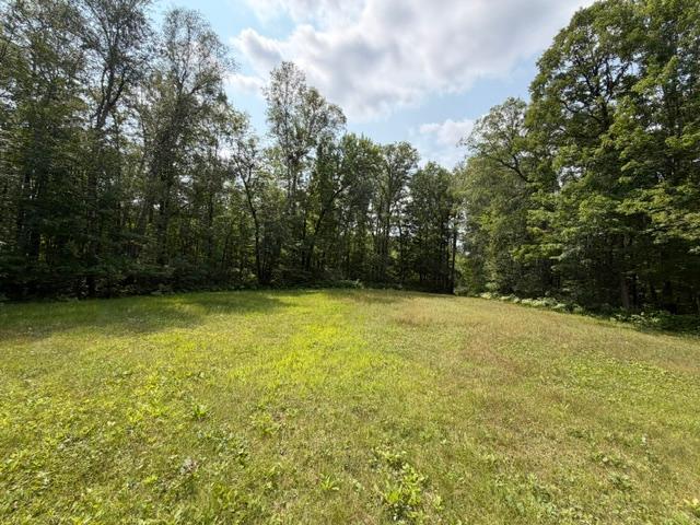 land for sale at TBD State Hwy 65 in McGregor, MN (photo 4 of 10)