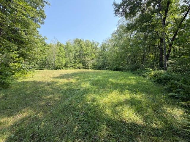 land for sale at TBD State Hwy 65 in McGregor, MN (photo 5 of 10)