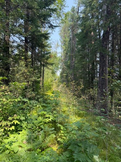 land for sale at TBD State Hwy 65 in McGregor, MN (photo 8 of 10)