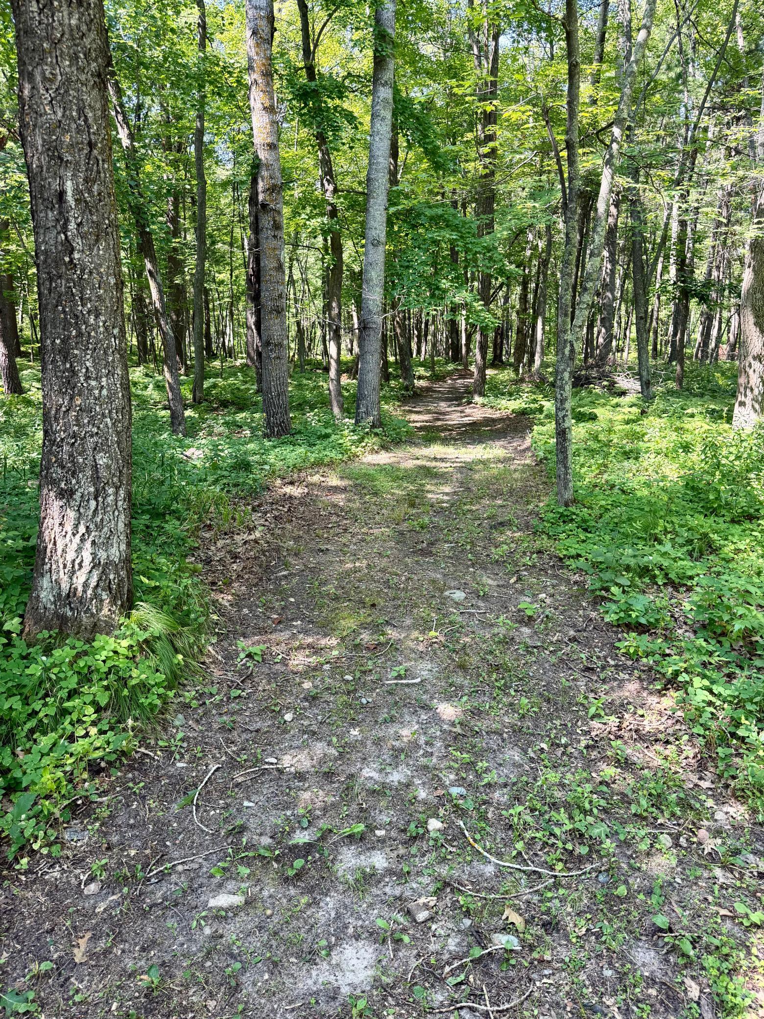 11023 Steamboat Loop NW, Walker MN 56484 - Photo 76 of 77