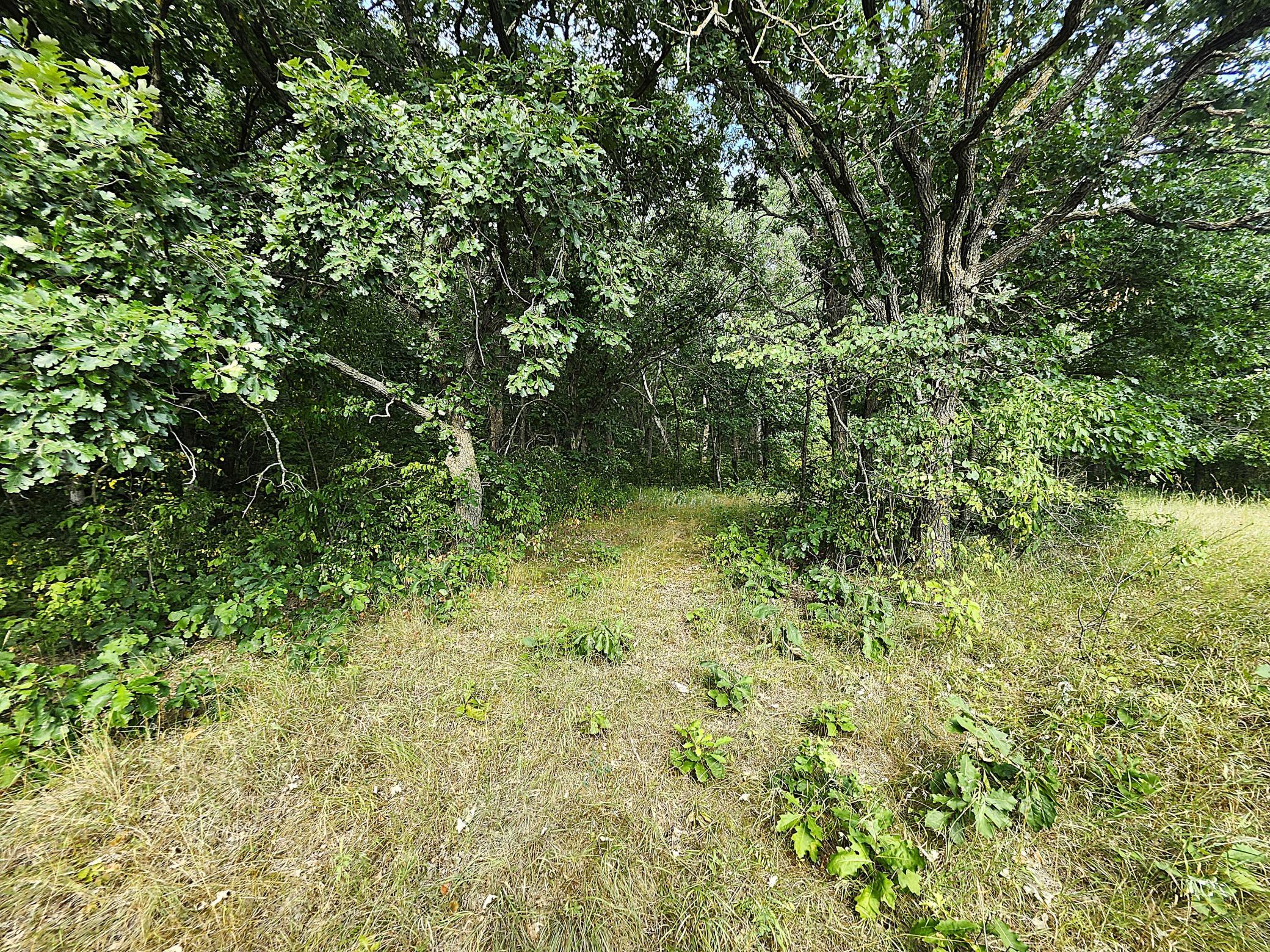 TBD 400th Street, Browerville MN 56438 - Photo 11 of 14