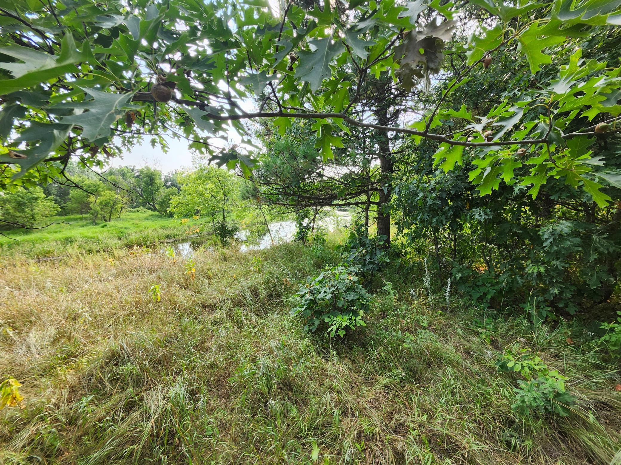 TBD 400th Street, Browerville MN 56438 - Photo 12 of 14