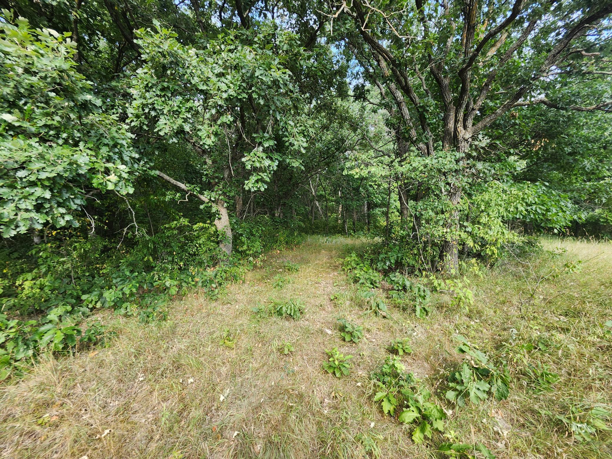 TBD 400th Street, Browerville MN 56438 - Photo 14 of 14