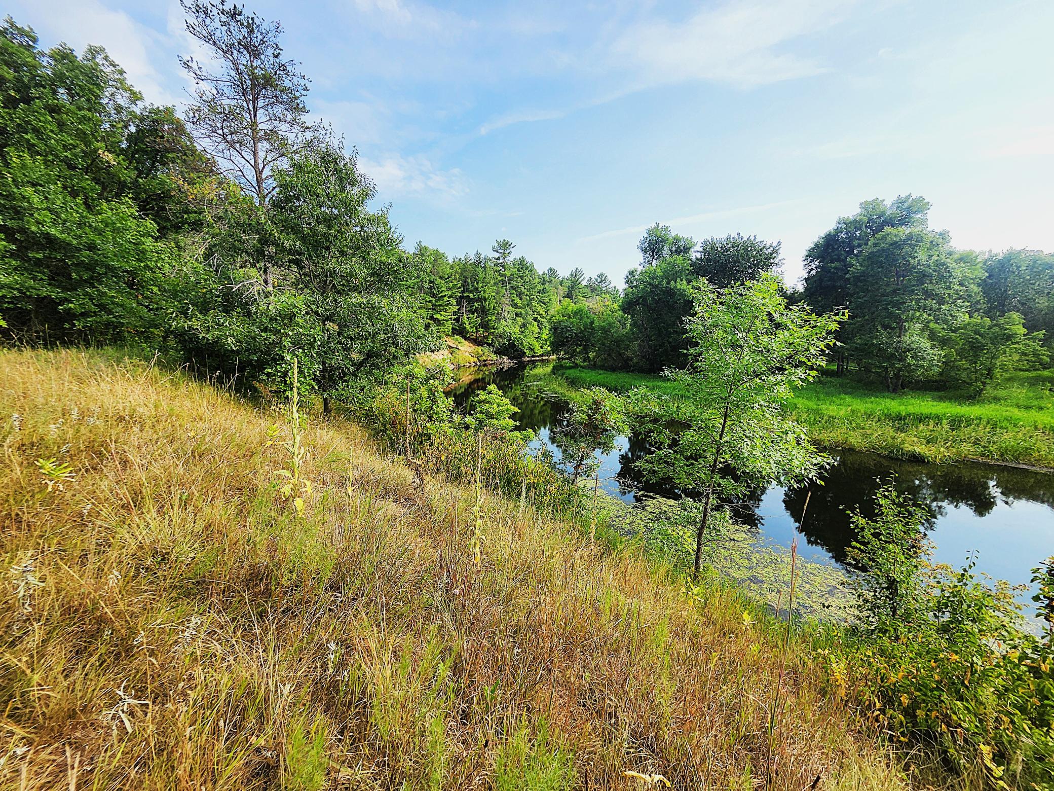 TBD 400th Street, Browerville MN 56438 - Photo 8 of 14