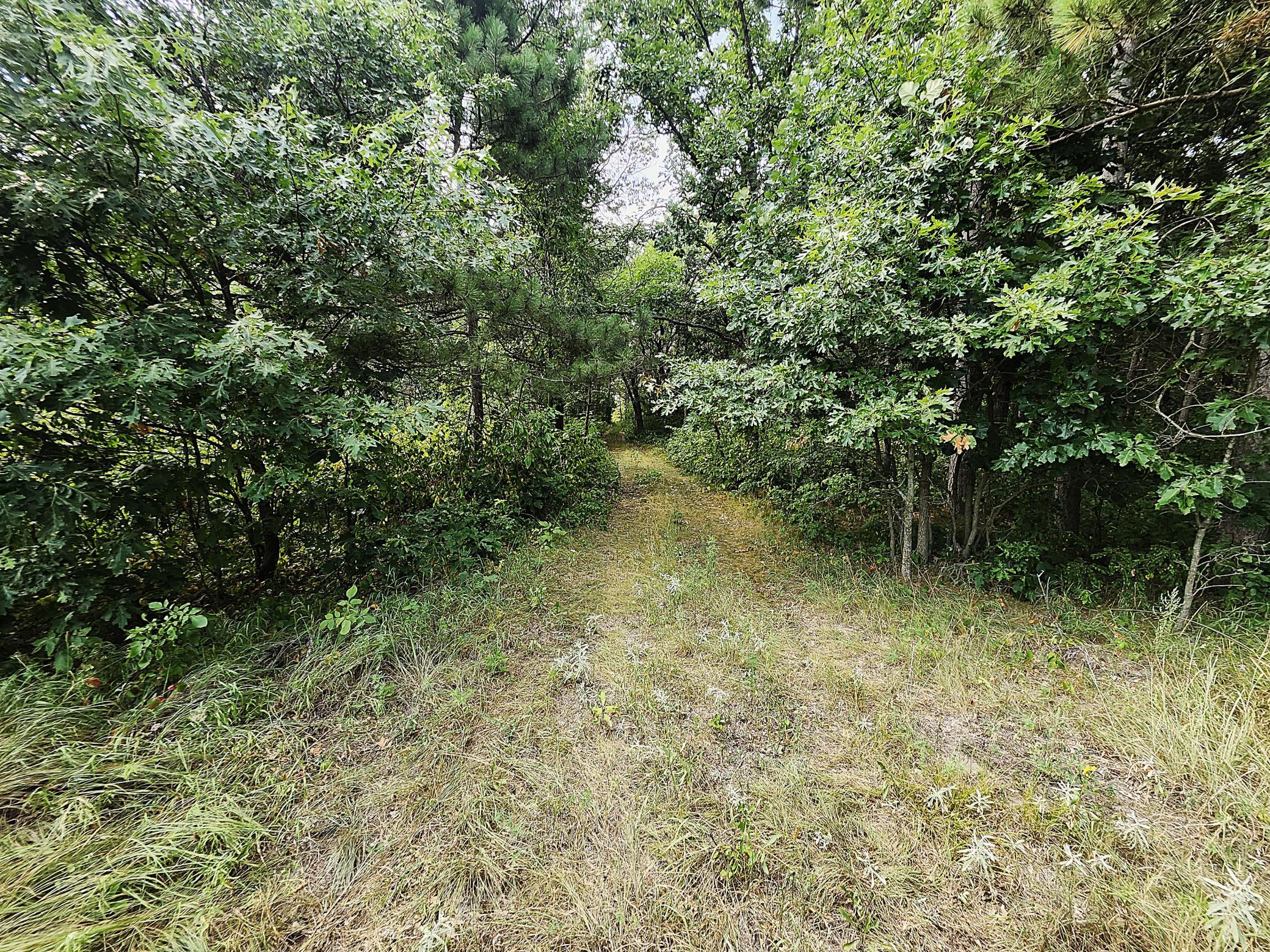 TBD 400th Street, Browerville MN 56438 - Photo 9 of 14