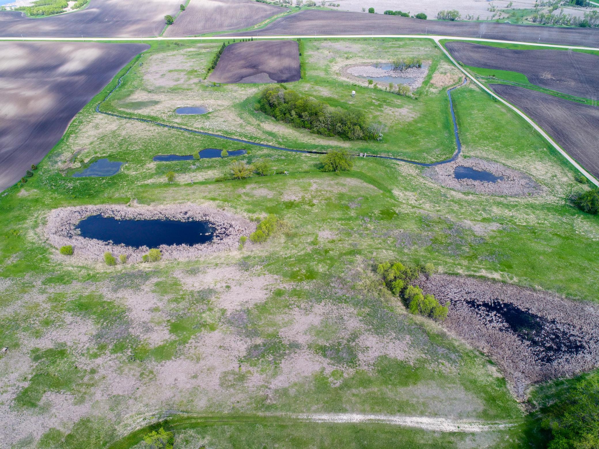 TBD CO Rd 33 NW, Evansville MN 56326 - Photo 6 of 13