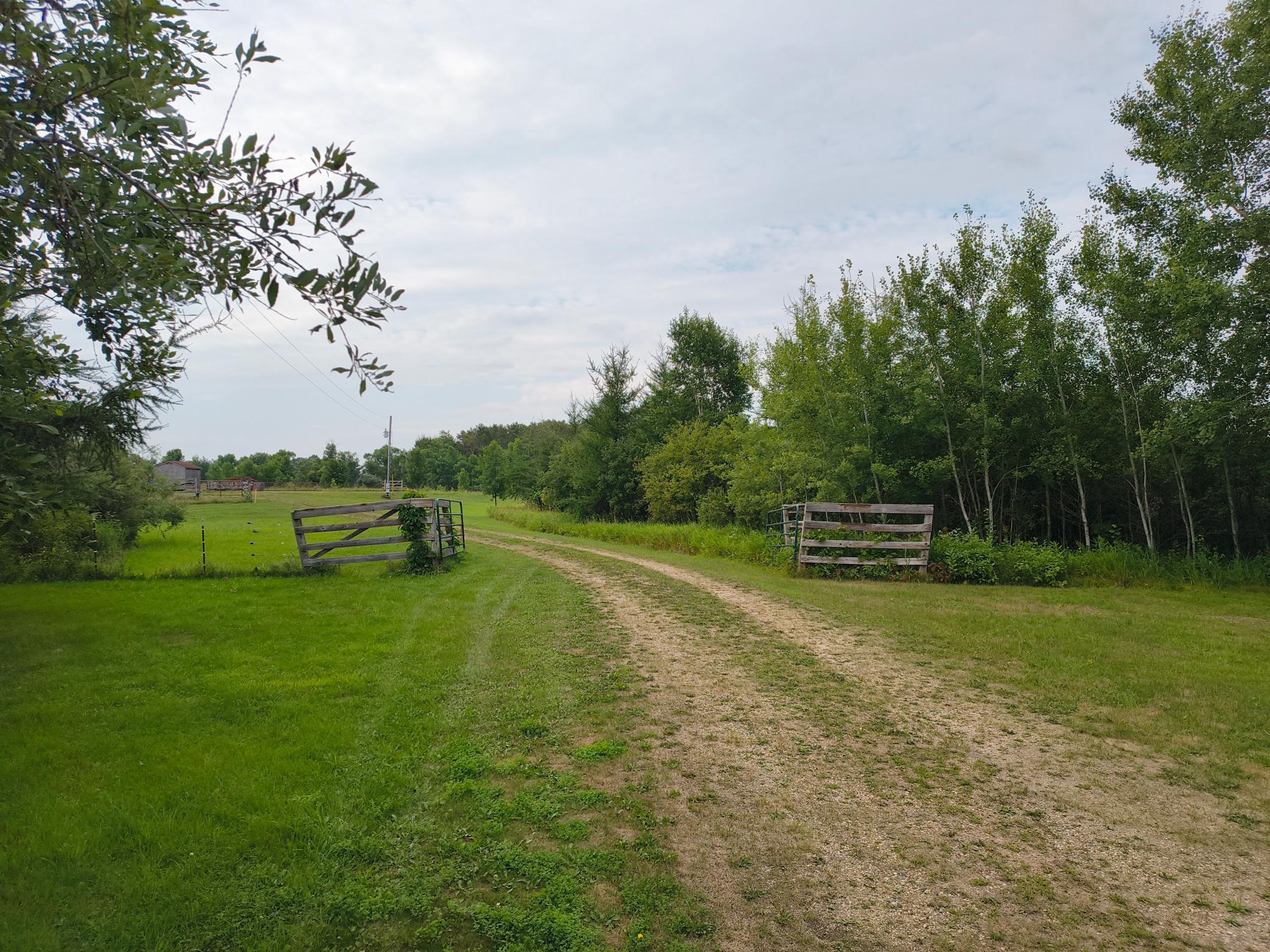 land for sale at 3401 Buckskin Road NE in Carlos, MN