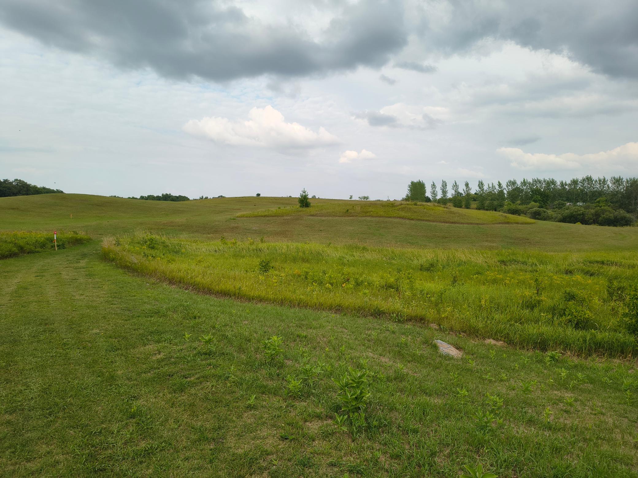 land for sale at 3401 Buckskin Road NE in Carlos, MN (photo 2 of 12)