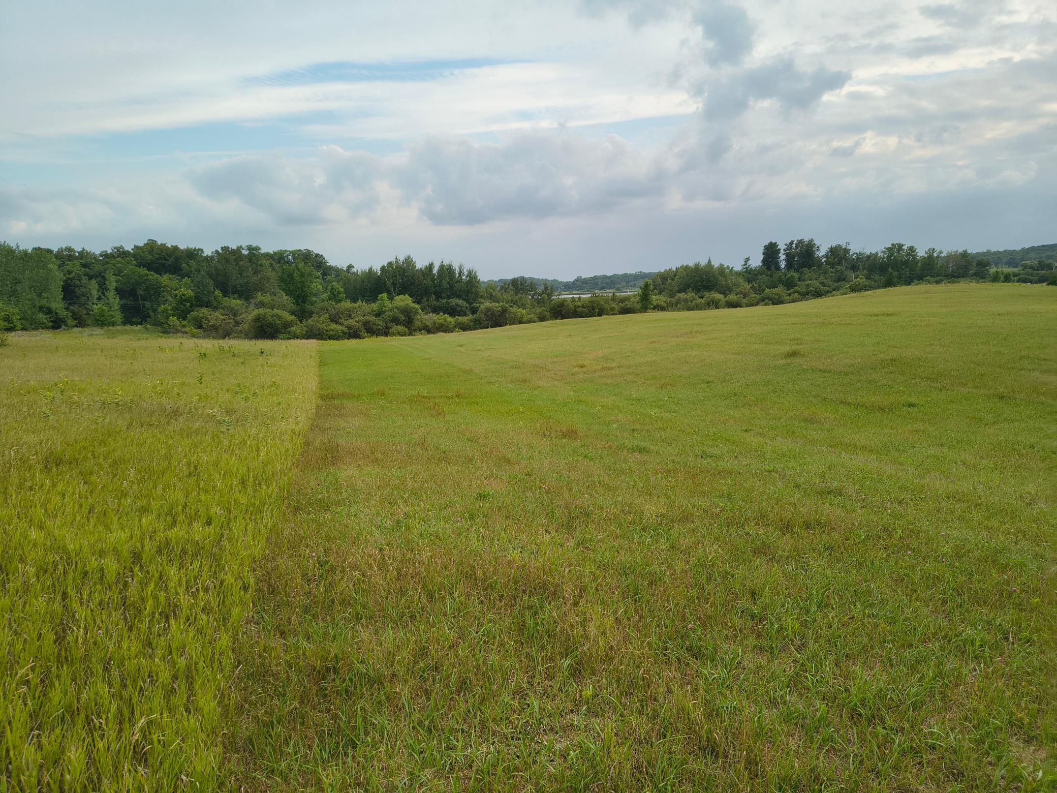 land for sale at 3401 Buckskin Road NE in Carlos, MN (photo 11 of 12)