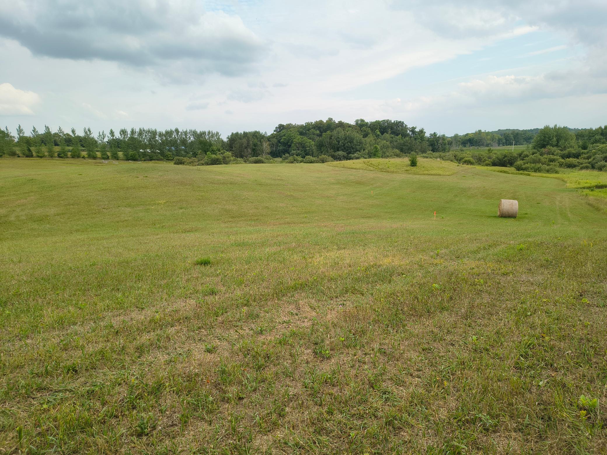 land for sale at 3401 Buckskin Road NE in Carlos, MN (photo 3 of 12)