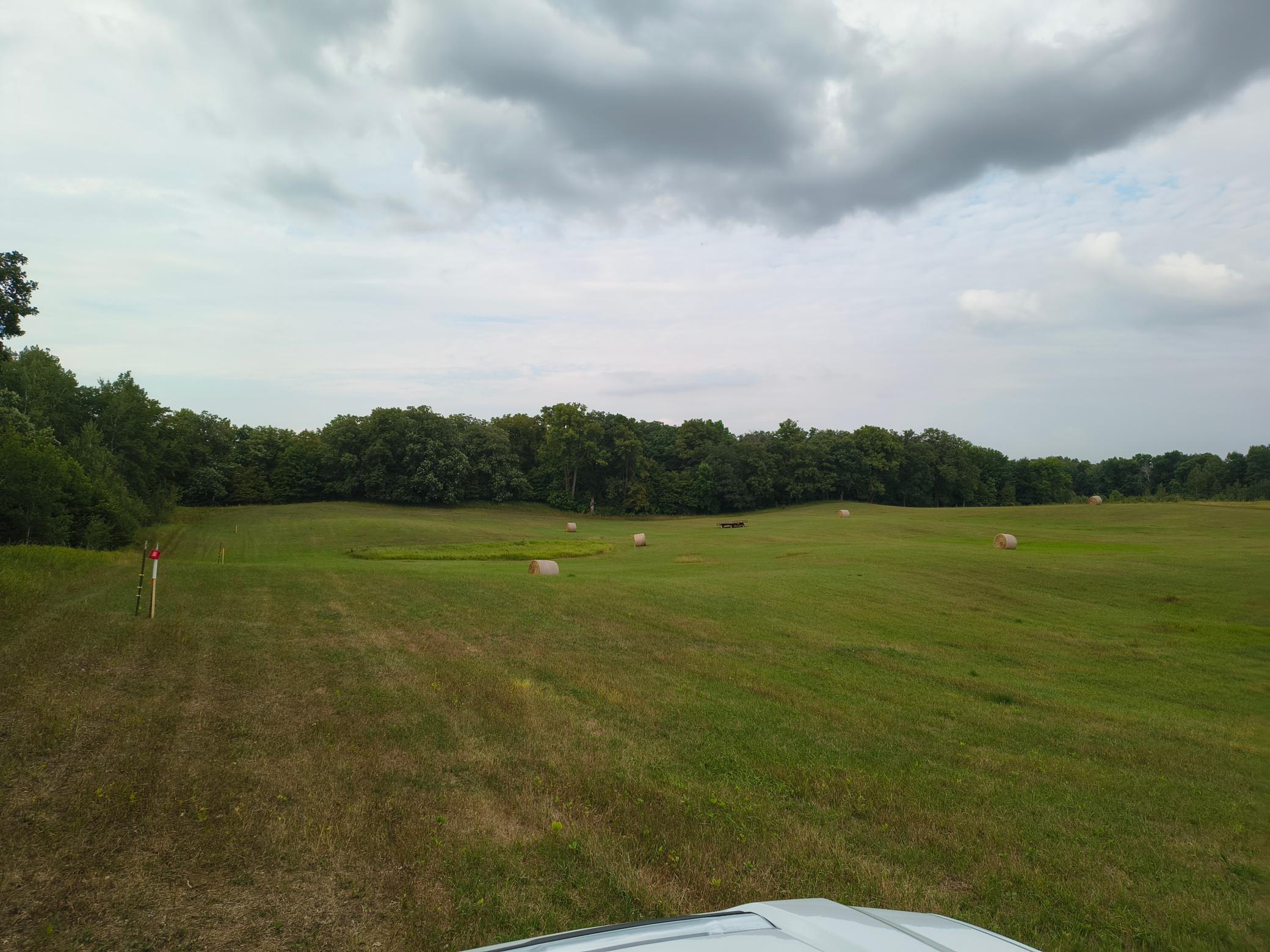 land for sale at 3401 Buckskin Road NE in Carlos, MN (photo 4 of 12)